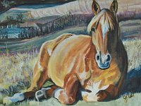 Repose 9x12